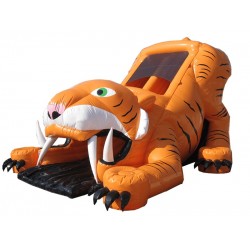 Big Tiger Slide Big Tiger Slide