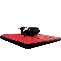 Aufblasbarer Rodeo Stier Mit Bügeln Aufblasbarer Rodeo Stier Mit Bügeln