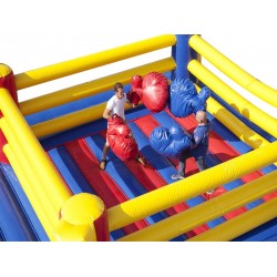 Aufblasbarer Boxring Aufblasbarer Boxring