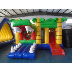 Krokodil Aufblasbare Combo