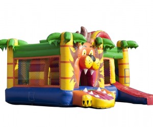 Hüpfburg Mit Rutsche